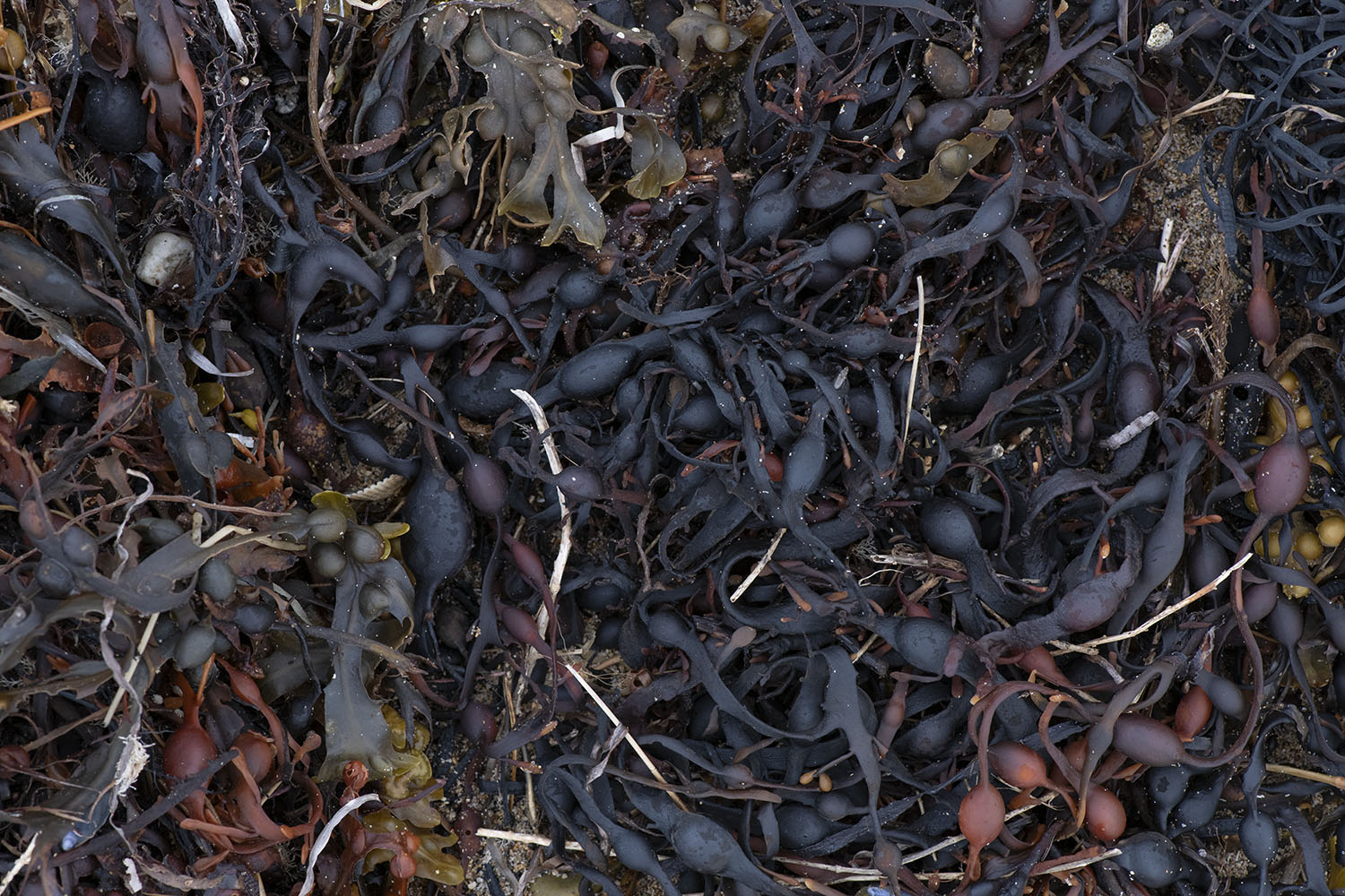 aucun